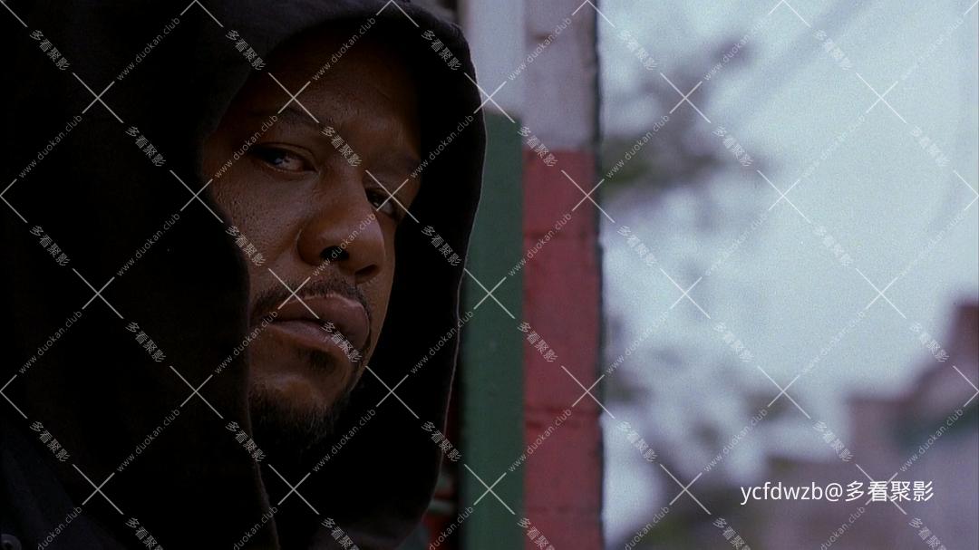 p2880827738.jpg