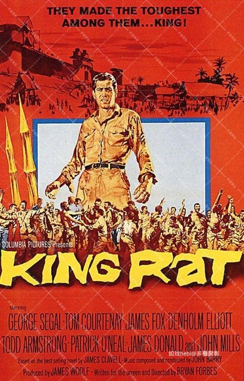 King Rat.jpg