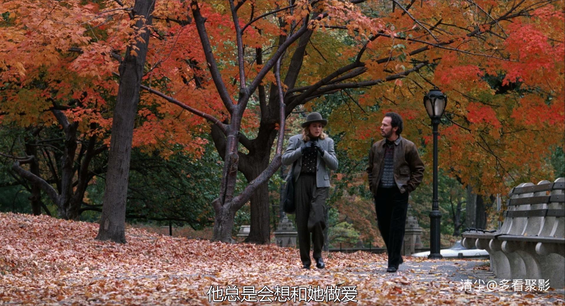 1989 当哈利遇到莎莉 When Harry Met Sally 1080.mkv_20260510_182013.427.jpg
