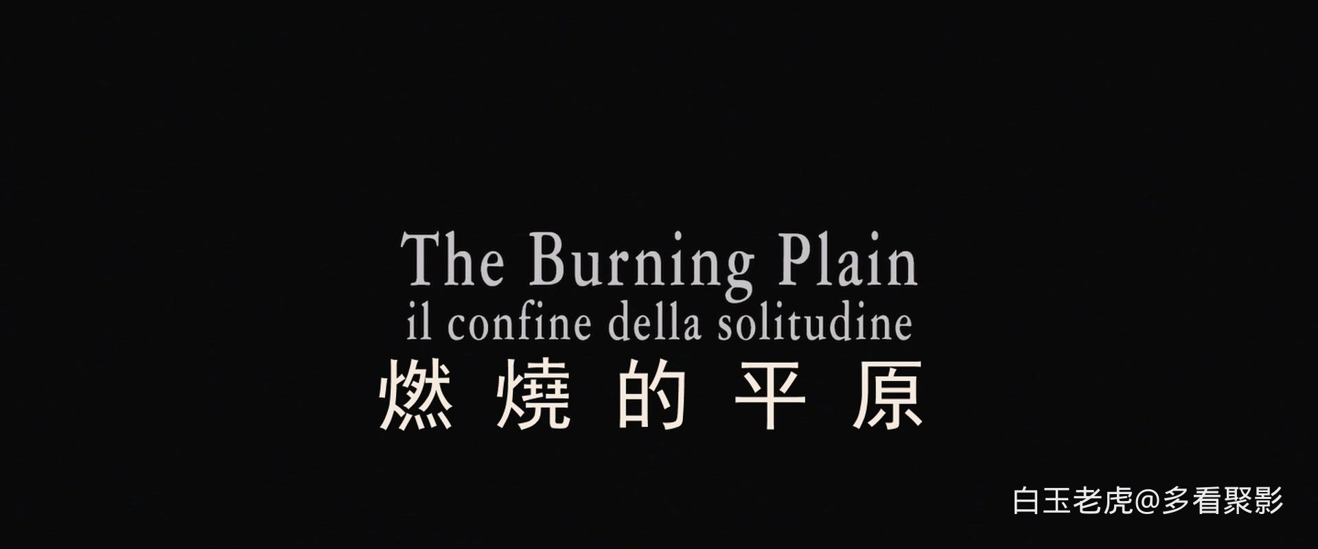 The.Burning.Plain.2008.1080p.BluRay.x264.DTS.2Audio-FGT-bylh.mkv_20260514_235345.292.jpg