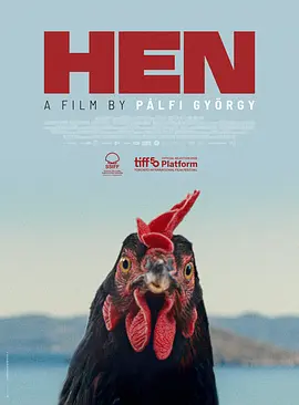 p2926802647.webp