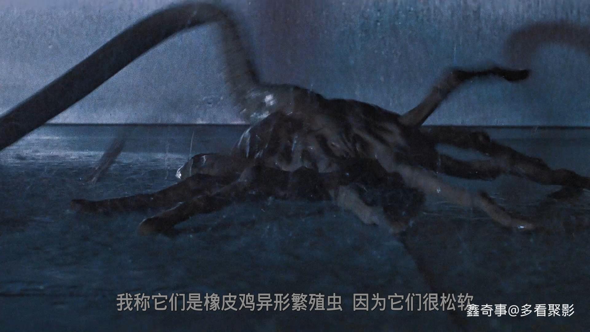 4d114d69-6d8d-4a7b-b5e5-5185067771cb.jpg