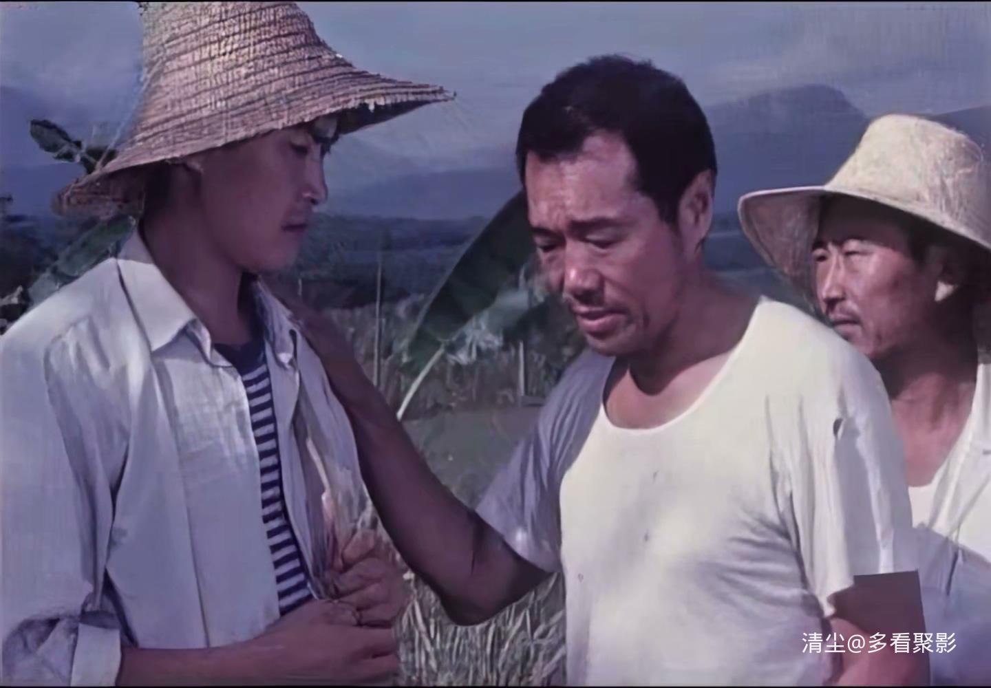 1984 南方的岸.mp4_20260525_152508.653.jpg
