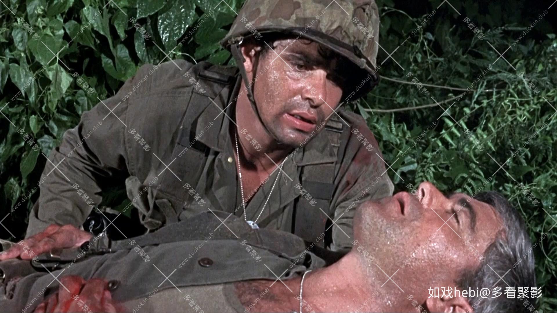 抢滩总攻击 Beach Red (1967).mkv_20260527_100043.185.jpg