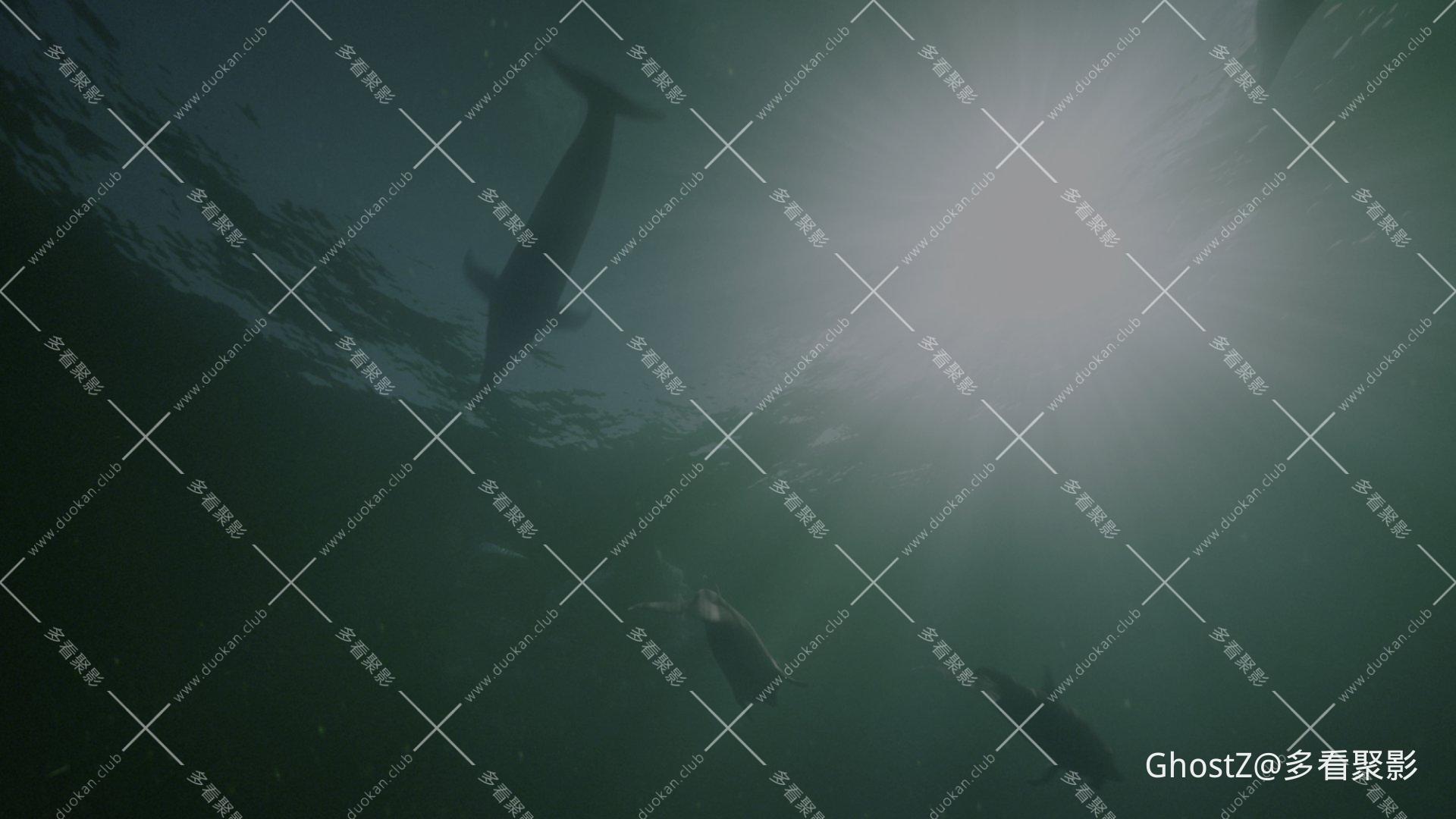 海洋深处 (2015).mkv_003646.955.png