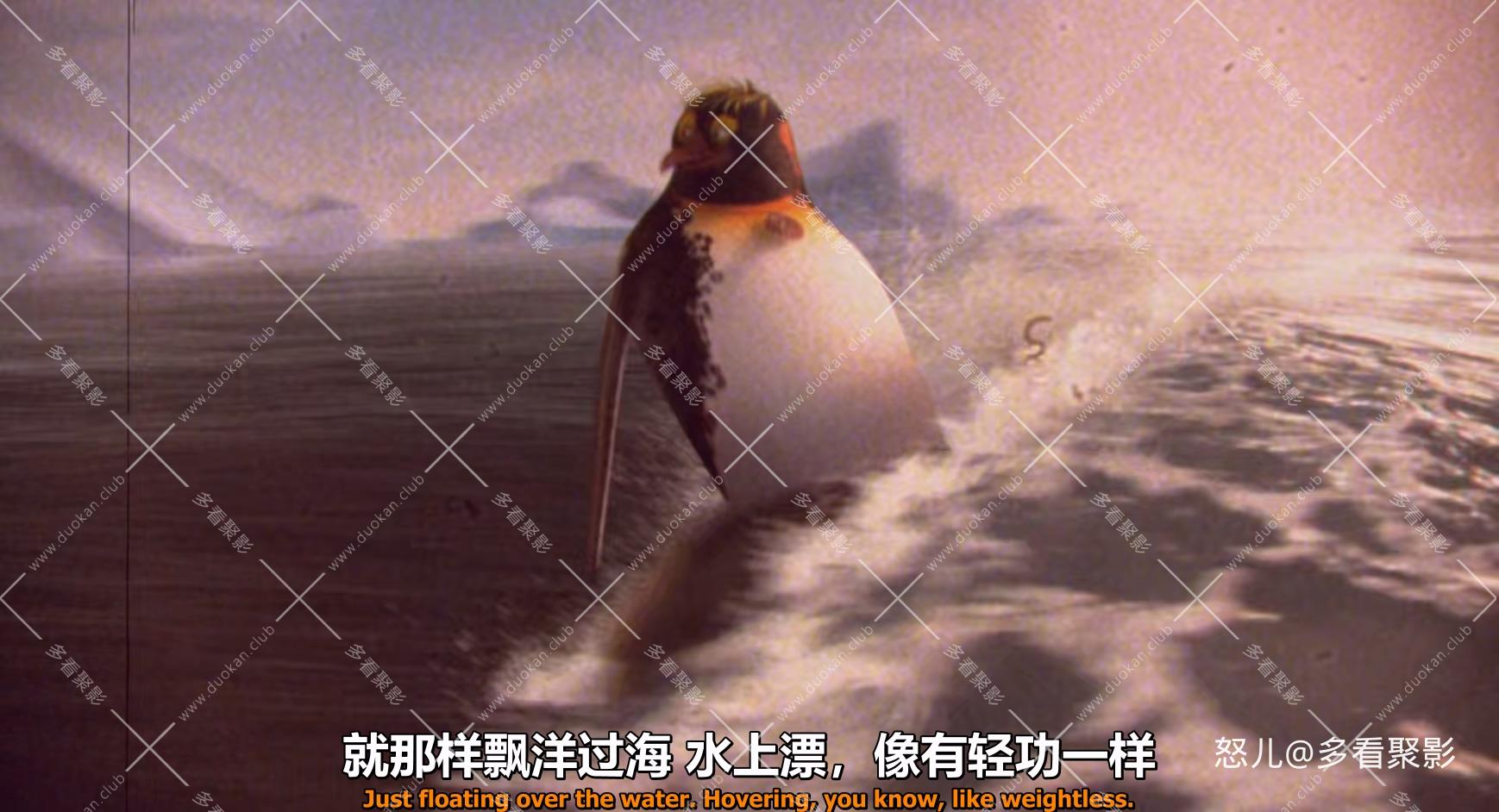 冲浪企鹅1.Surfs.Up.2007.1080p.BluRay.x265.2audio-RARBG.mkv_20260601_154451.232.jpg
