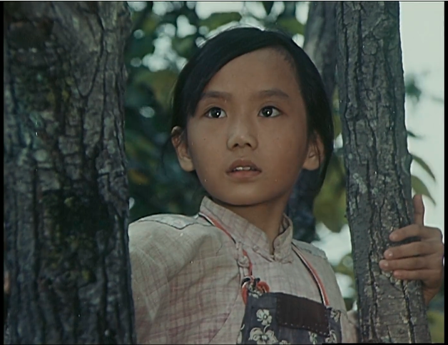 {9EB23609-2E29-4026-A31F-1062FC599F2C}.png