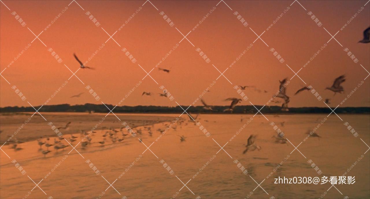 与敌同眠.Sleeping.With.The.Enemy.1991.BluRay.720p.x264.AC3.2Audios-CMCT.mkv_2026.jpg