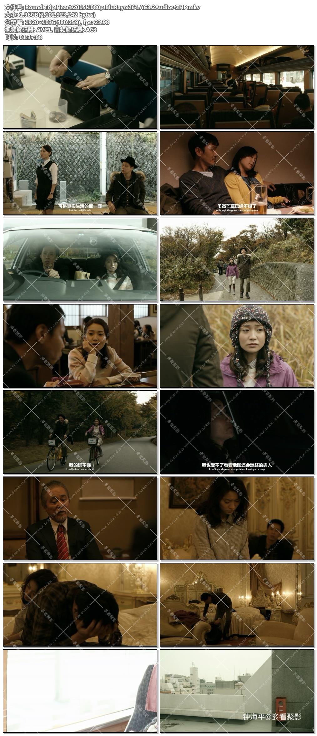 Round.Trip.Heart.2015.1080p.BluRay.x264.AC3.2Audios-ZHP.jpg