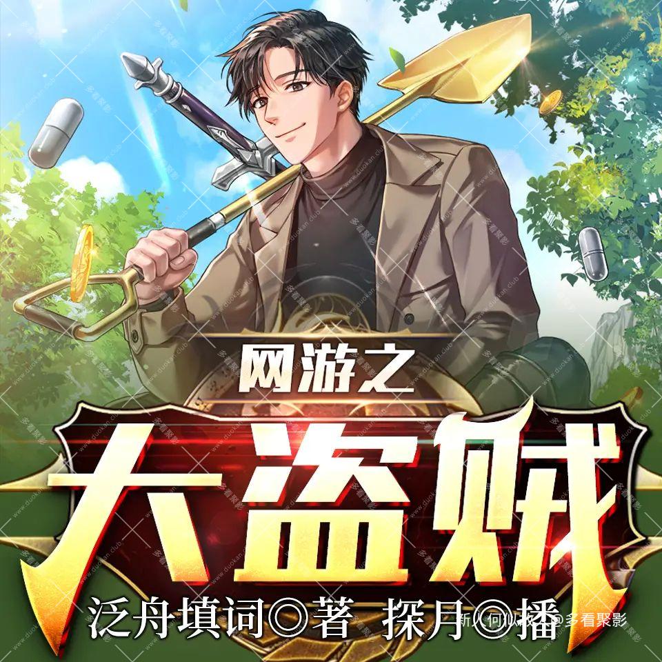 网游之大盗贼.jpg