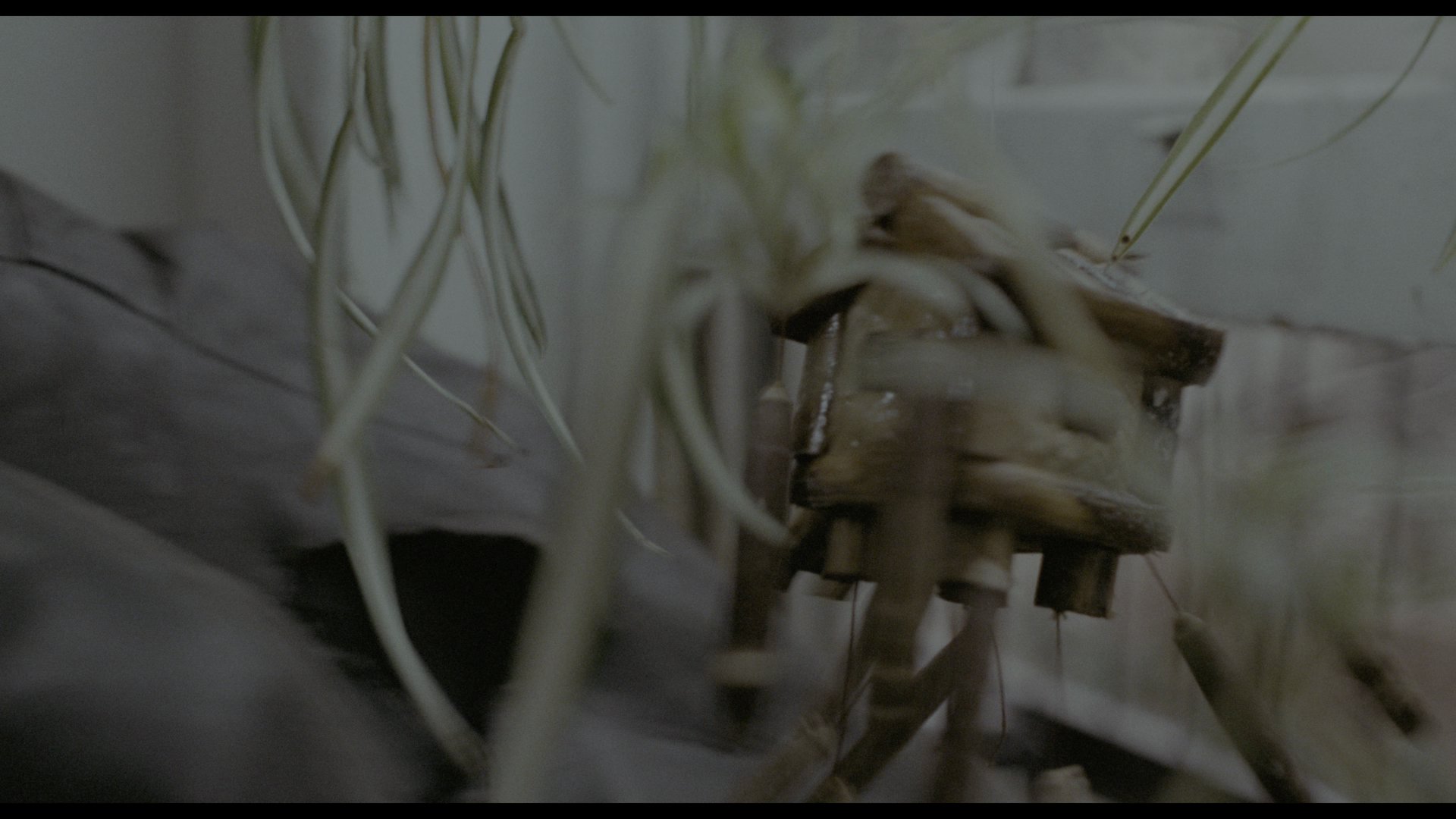 四五口径女郎 (1981) [tmdb=22171].mkv_000407.368.png