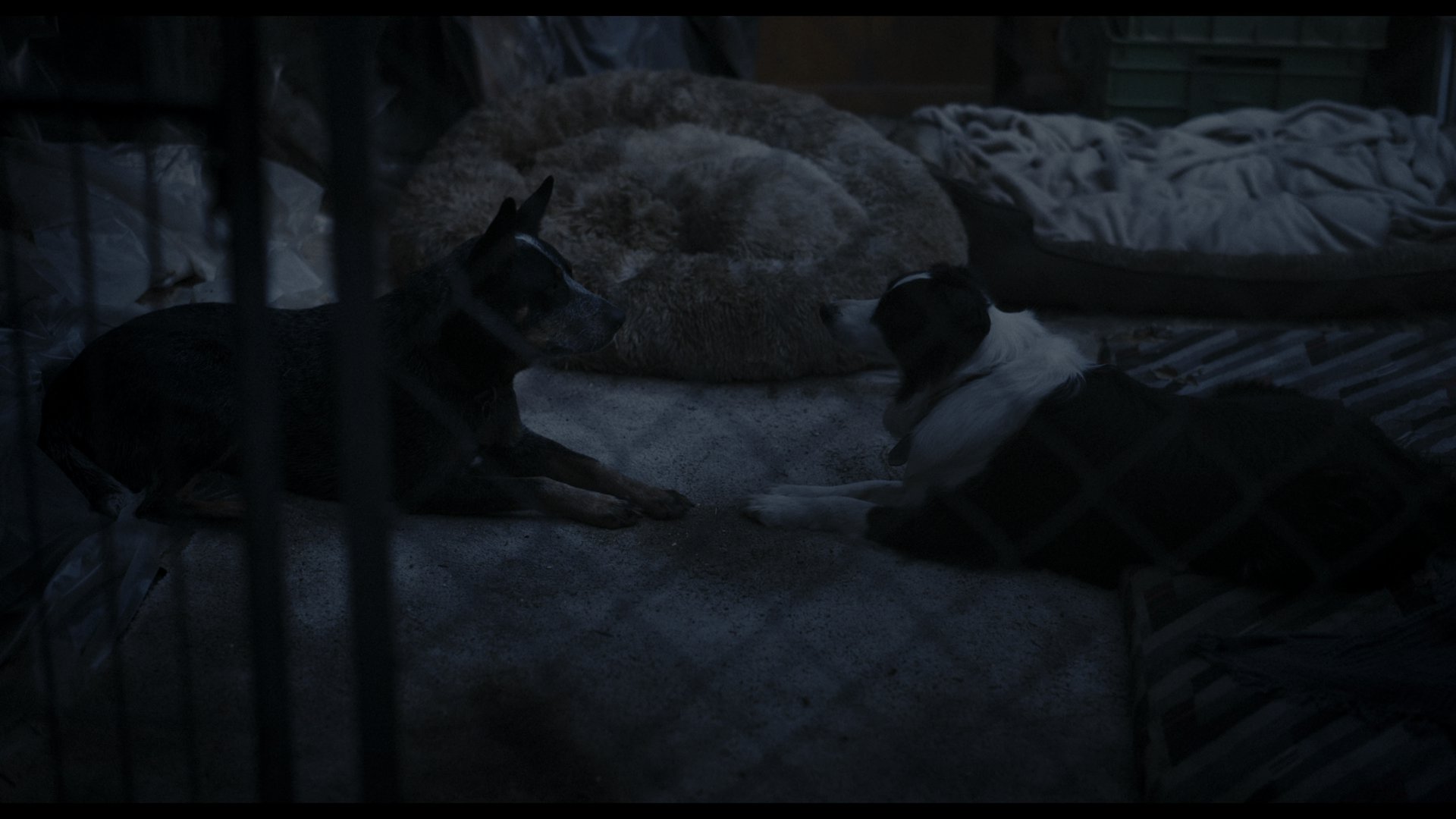 同甘共苦 (2025) [tmdb=1242011].mkv_000328.805.png
