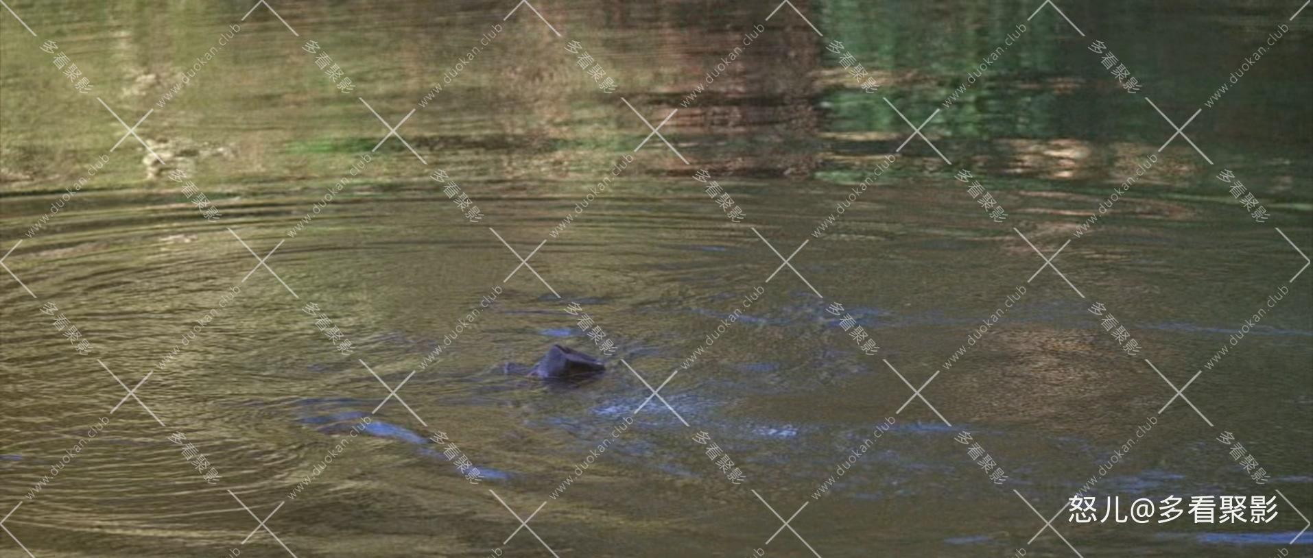 鳄鱼邓迪2.Crocodile.Dundee.2.1988.1080p.BluRay.x265.2audio-RARBG.mkv_20260616_15.jpg