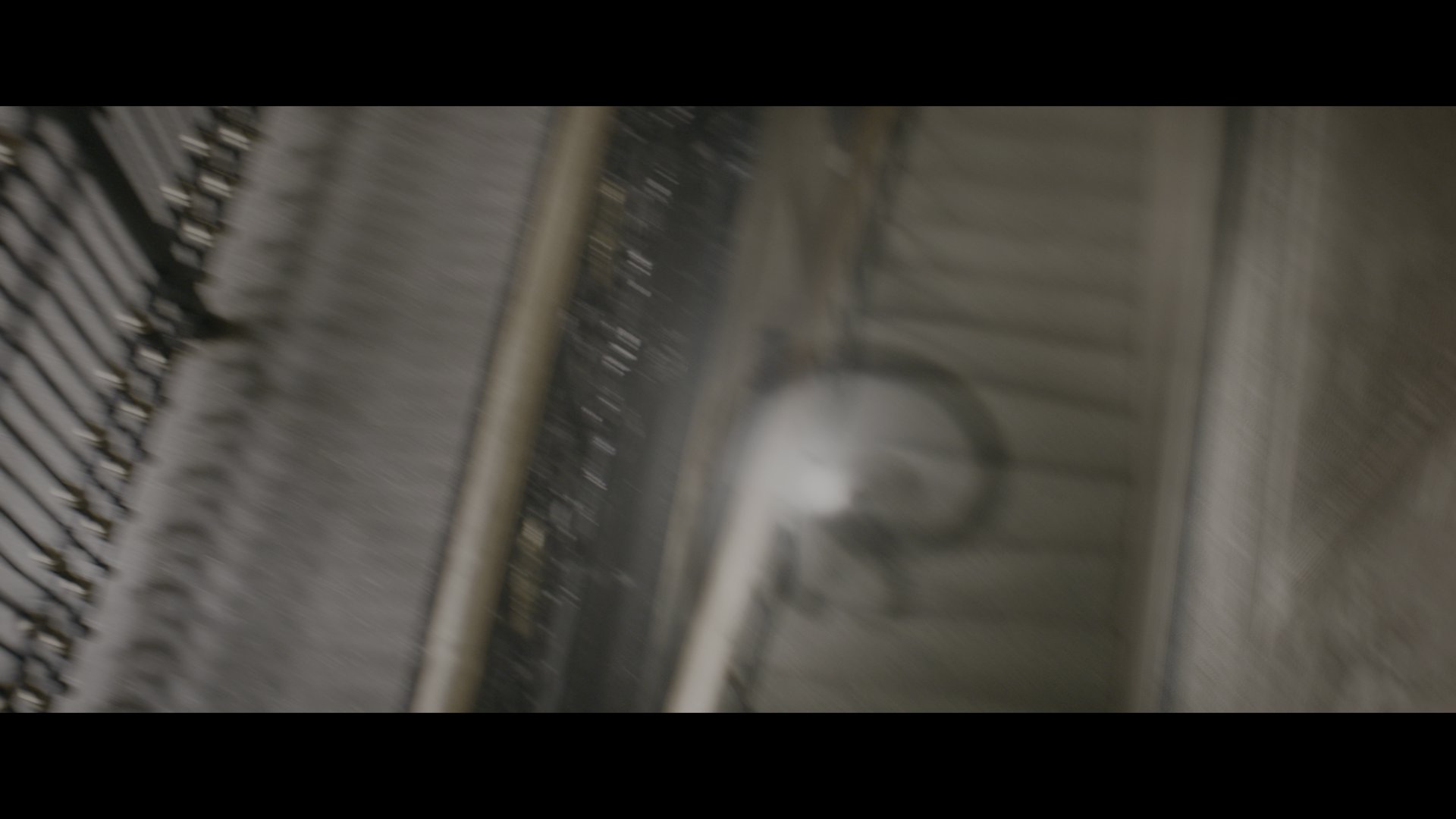 神奇动物在哪里 (2016).mkv_001018.831.png