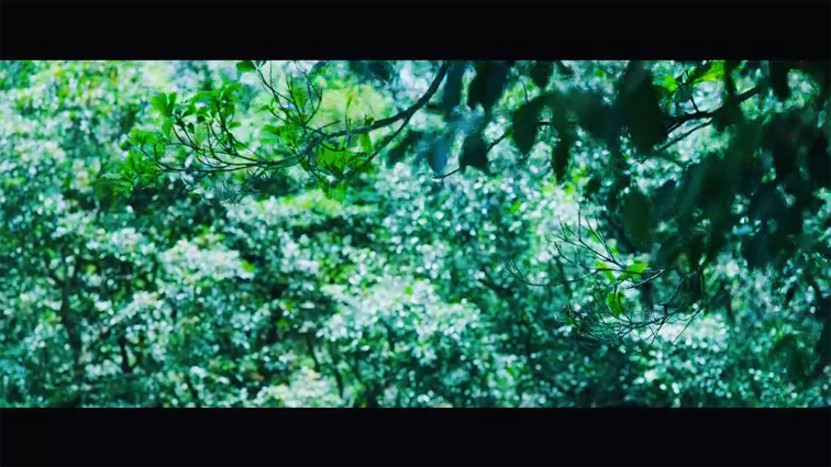 林北小舞[01_38_37][20260728-090739] 副本.png