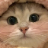 548